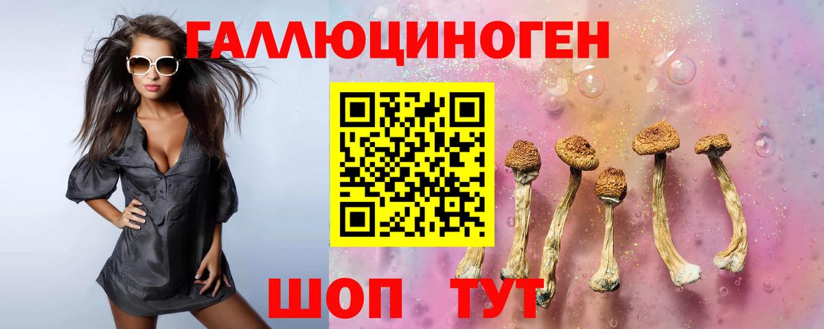Галлюциногенные грибы мицелий  Вход с VPN  Клинцы 