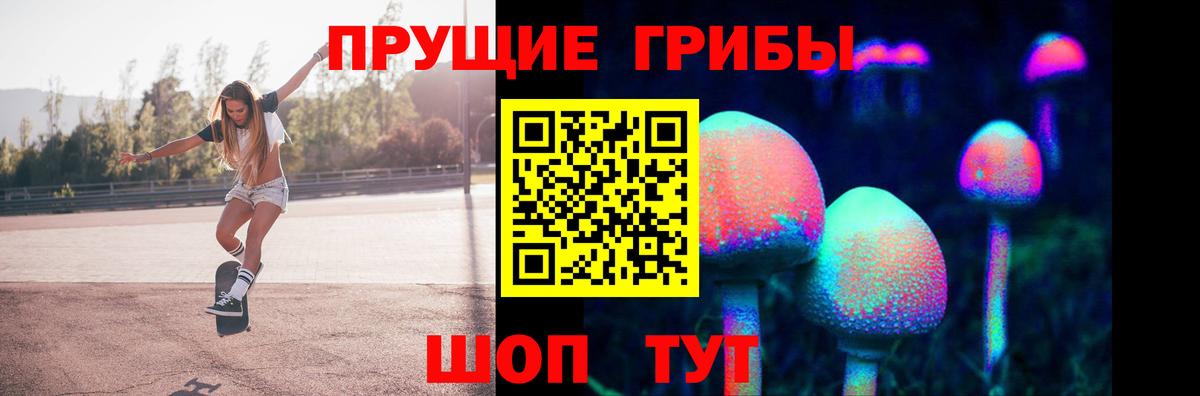Псилоцибиновые грибы Cubensis Клинцы
